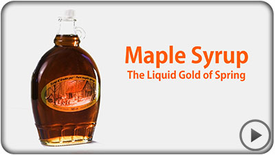 A Maple Syrup orientation video for the Waterloo Wellington Syrup Producers